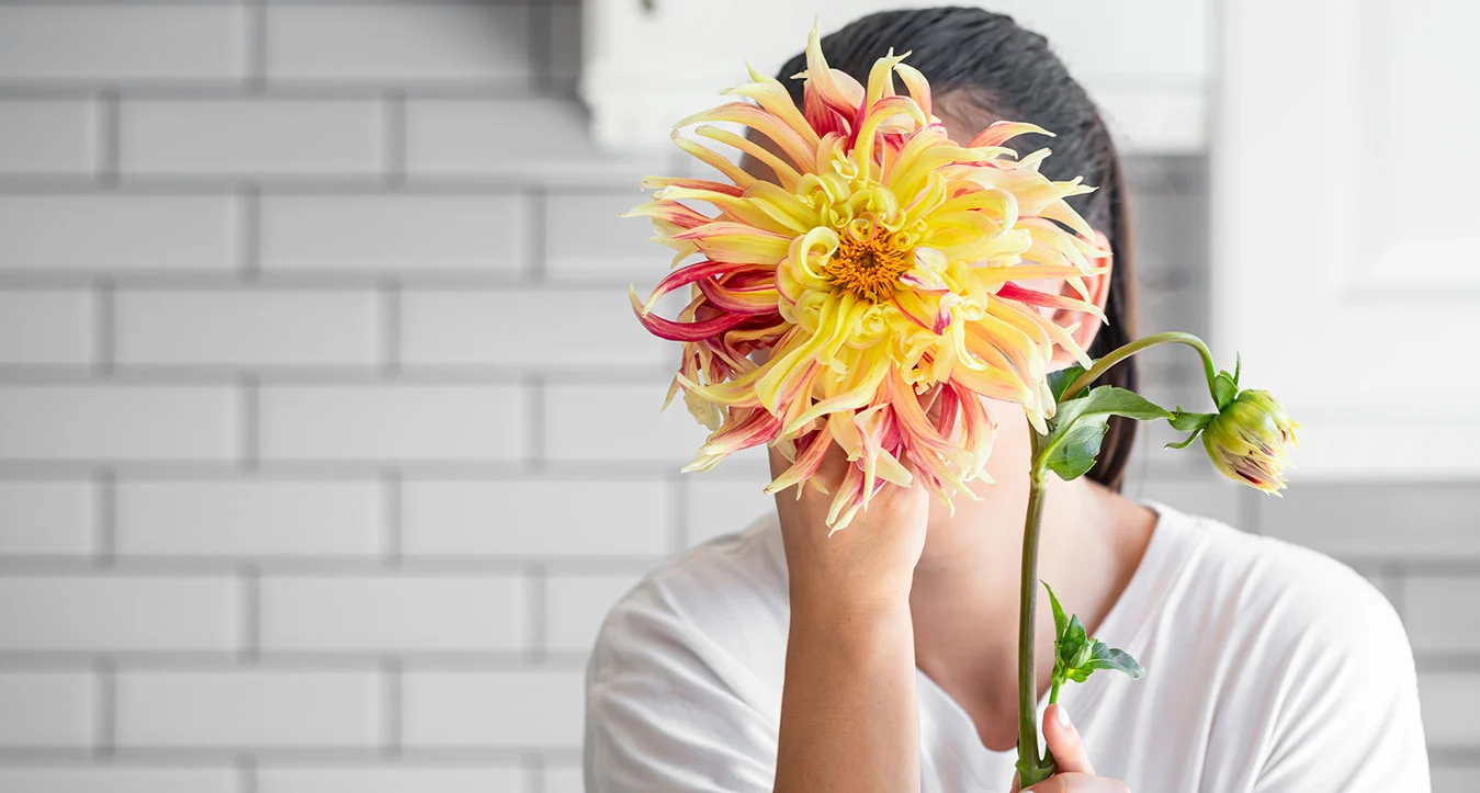 Ayurveda for menopause